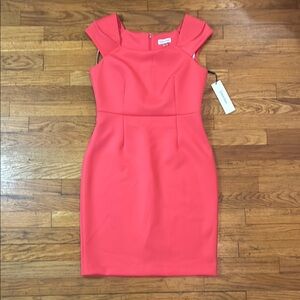 Coral Sleeveless Sheath Dress